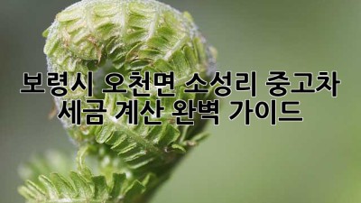 보령시 오천면 소성리 중고차 세금 계산 완벽 가이드!