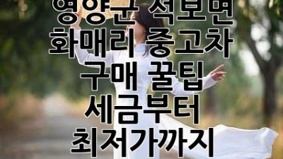 영양군 석보면 화매리 중고차 구매 꿀팁! ✨ 세금부터 최저가까지