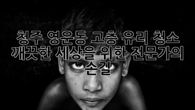 청주 영운동 고층 유리 청소: 깨끗한 세상을 위한 전문가의 손길